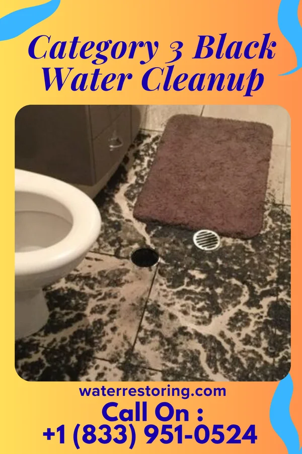 Category 3 Black Water Cleanup in Verdigre, NE