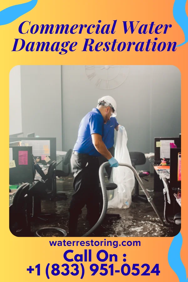Commercial Water Damage Restoration in Verdigre, NE